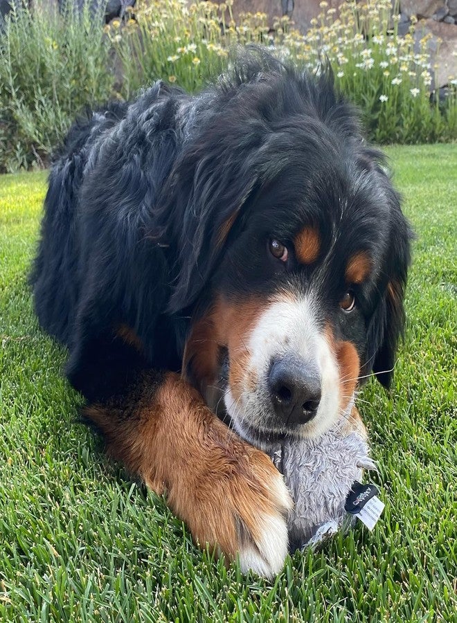 Spunky pup Hippo with Ball Squeaker Dog Toy | Cuddle Crinkle Crunching Sound and Squeaky Dog Toys | Nylon Reinforced Plush Toy | Toss Fetch and Play | Furry Friends Collection | For All Size Breeds - Image 2